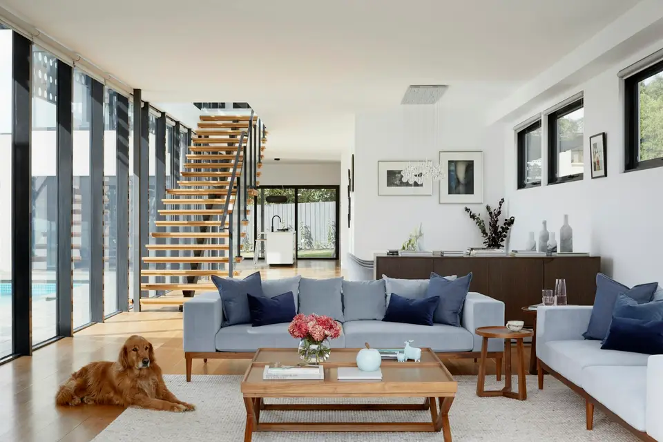 Bright family living room in Dublin kept spotless by LemonMaid, golden retriever relaxing on the rug